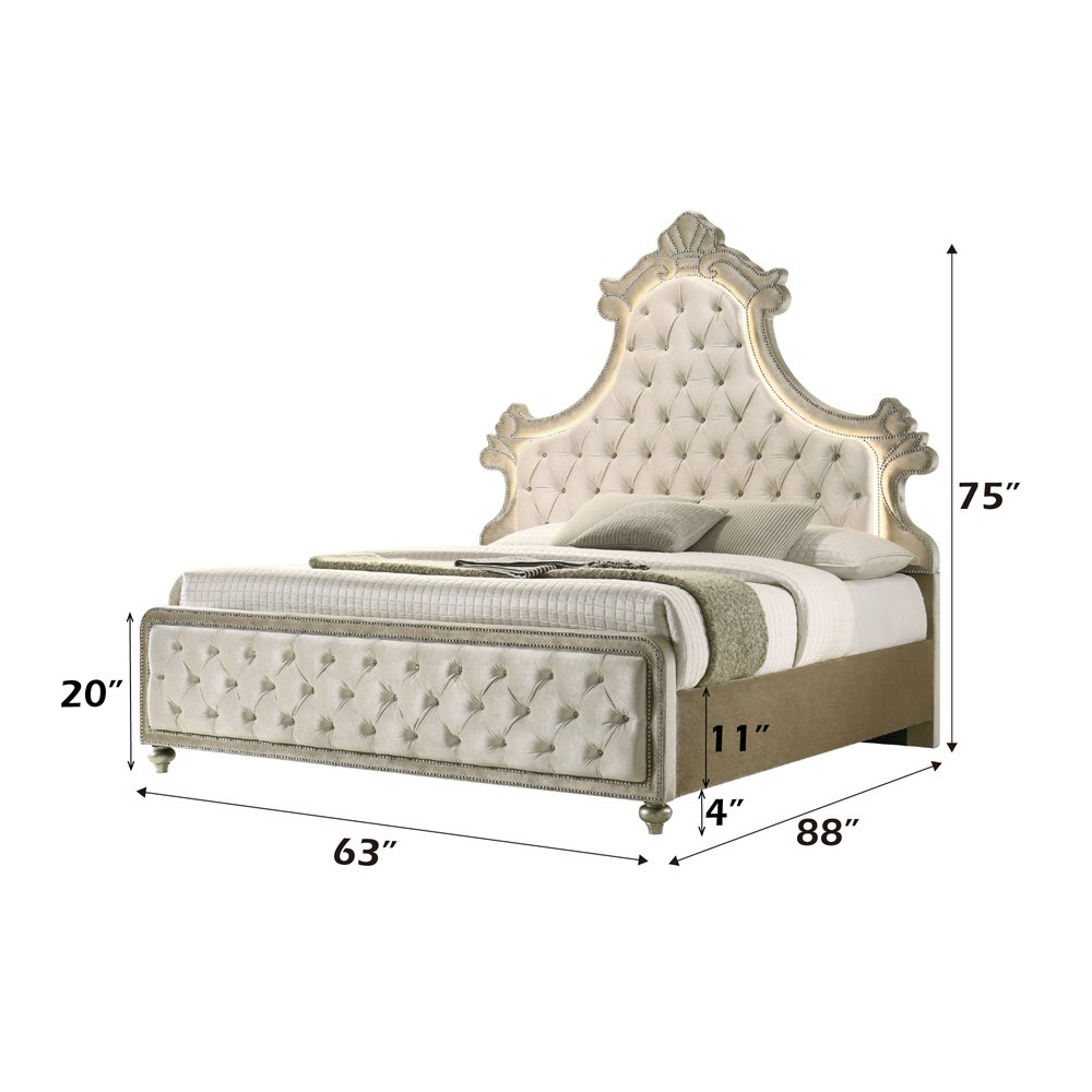 Lucienne Queen Bed w/LED Beige Velvet. Picture 5