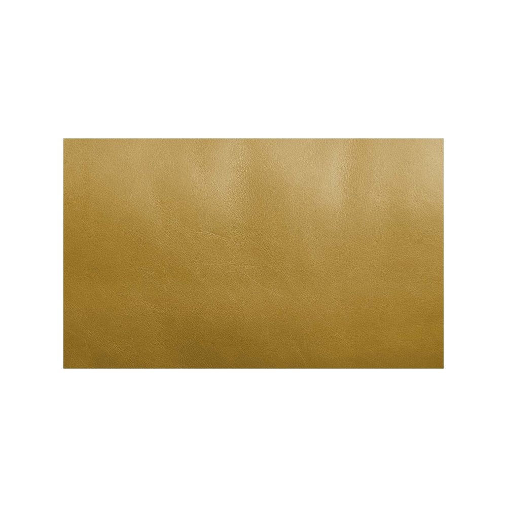 Radia Sofa w/Pillow Turmeric Top Grain Leather. Picture 6