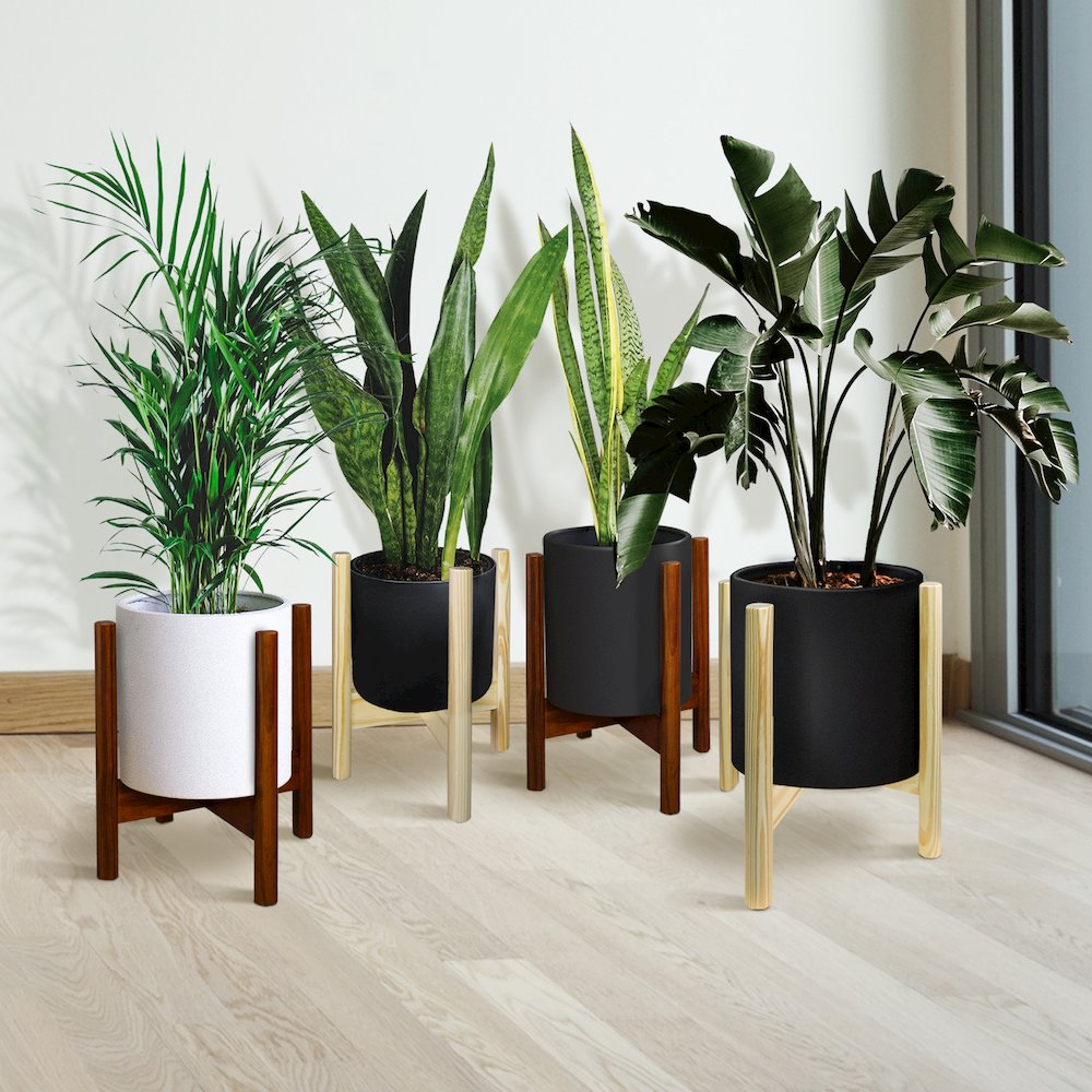 Mid-Century Modern Wood Plant Display Stand, Fit Up to 12". Picture 15