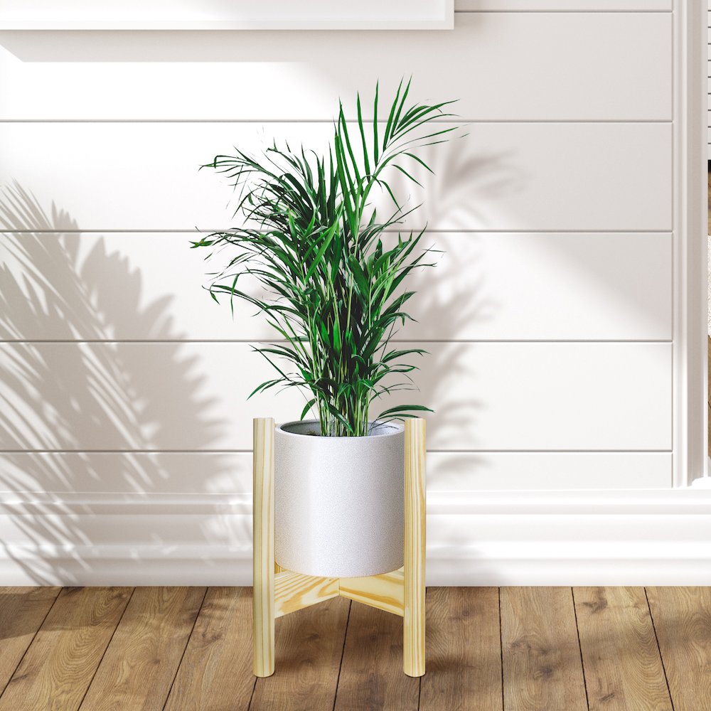 Mid-Century Modern Wood Plant Display Stand, Fit Up to 12". Picture 9