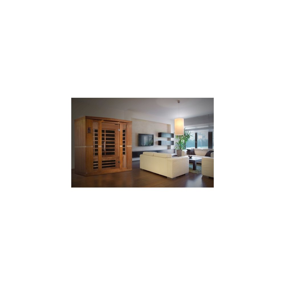 Dynamic Bergamo Elite 4-person Ultra Low EMF (Between 3-5MG) FAR Infrared Sauna. Picture 16