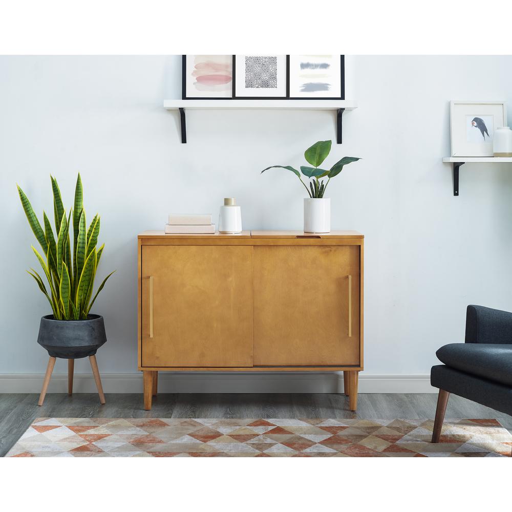 Everett Record Storage Media Console. Picture 8