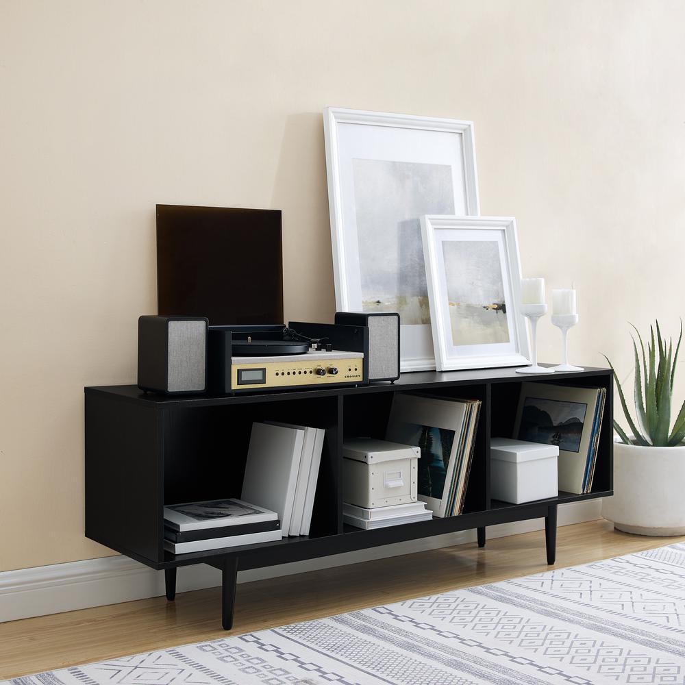 Liam Large Record Storage Console Cabinet. Picture 2