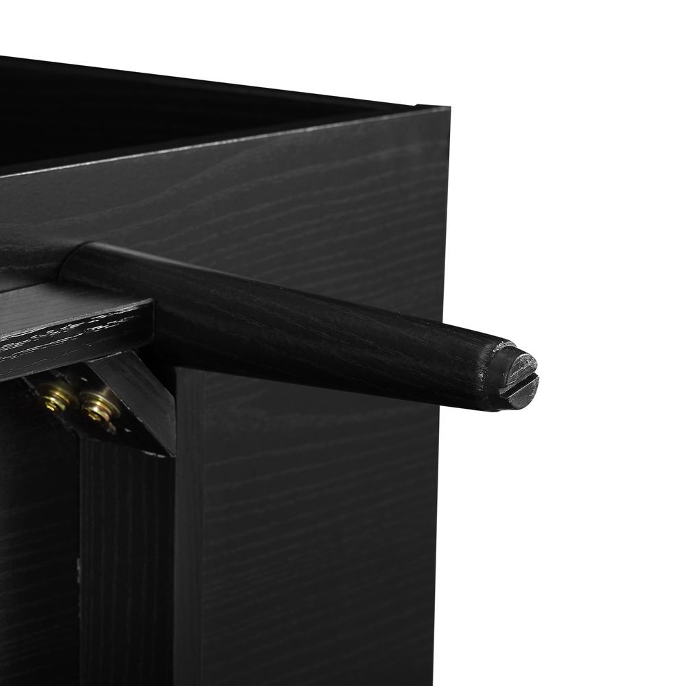 Liam Large Record Storage Console Cabinet. Picture 11