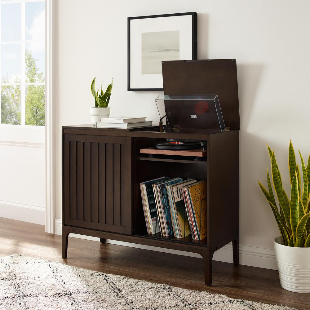 Asher Record Storage Media Console. Picture 6