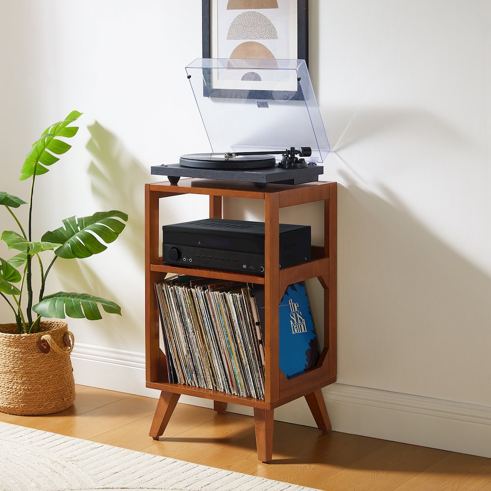 Asheville Small Record Player Stand With Vinyl Storage. Picture 5