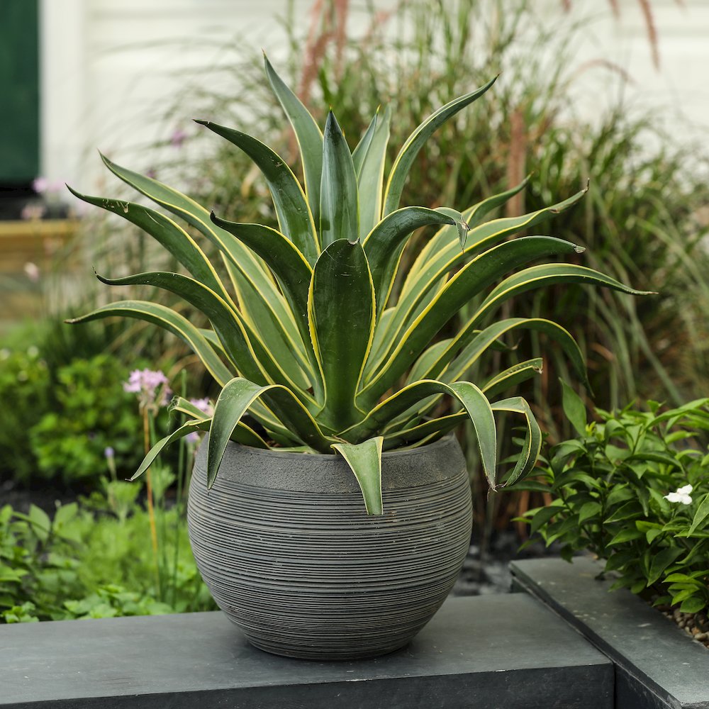 Gray Pottery-Style 11.75-inch Round MgO Planter. Picture 4