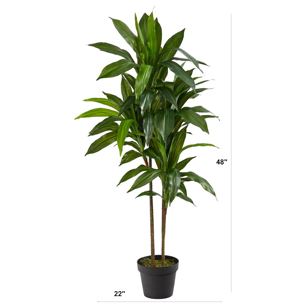 43in. Dracaena Silk Plant (Real Touch). Picture 5
