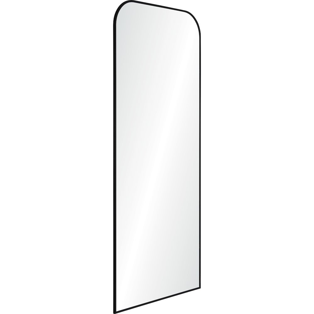 Mandret Irregular 30 in. x 72 in. Framed Mirror. Picture 3