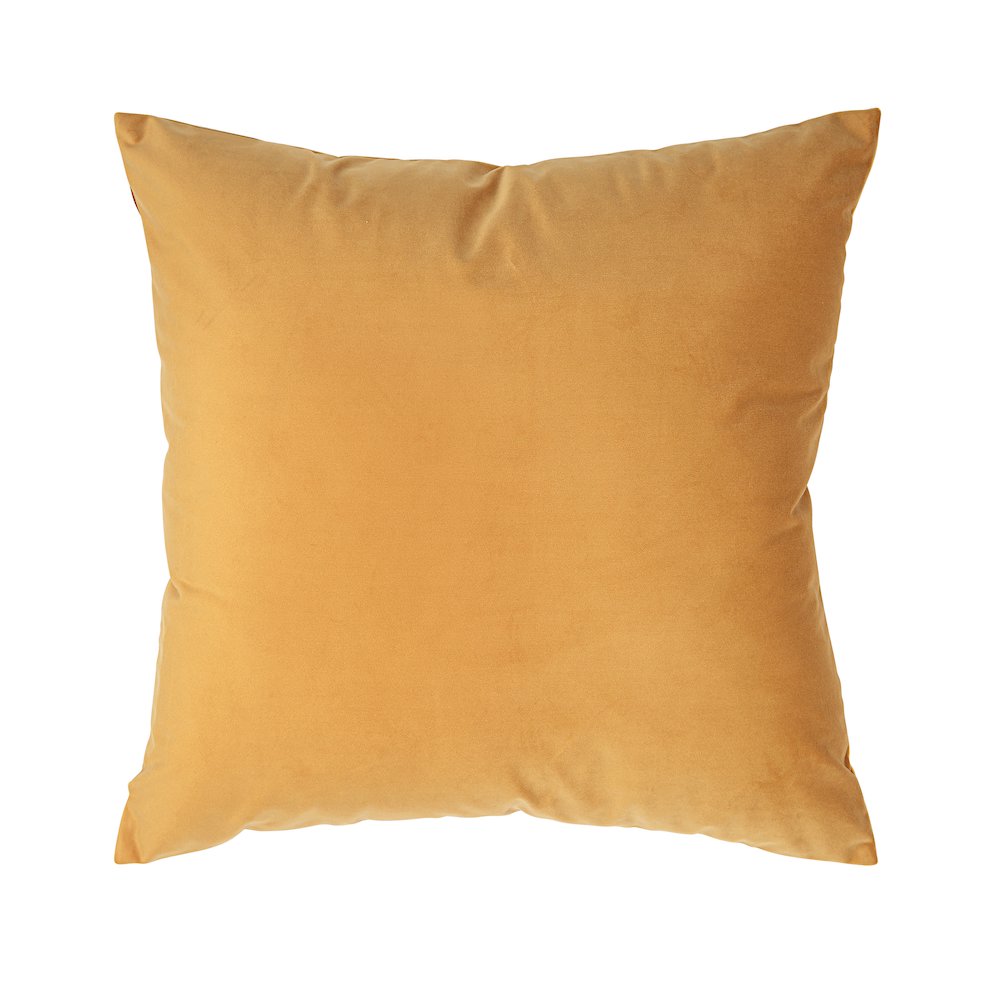 Jonquil 20X20 Indoor Pillow, Mango. Picture 1