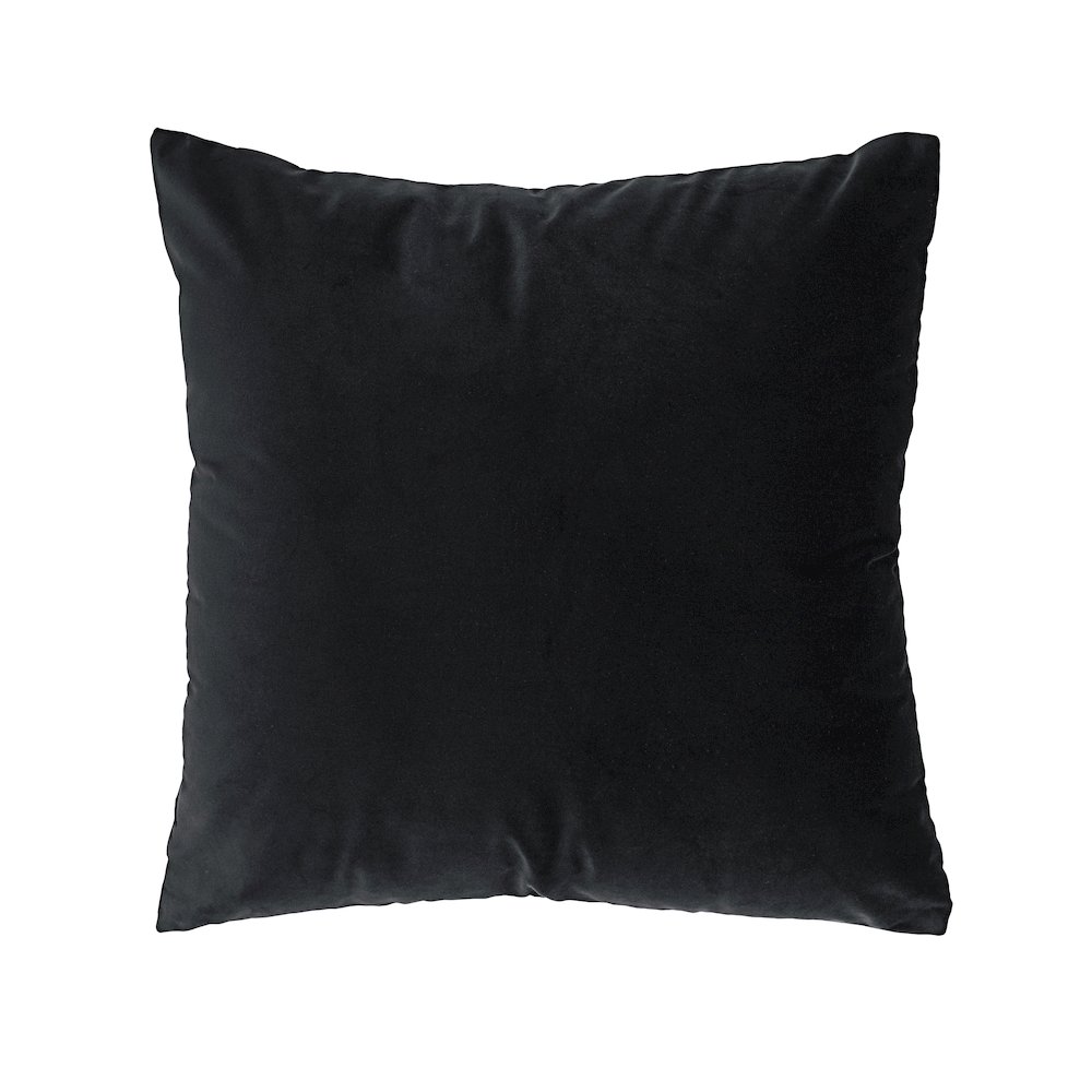 Dianthus 20X20 Indoor Pillow, Black. Picture 1