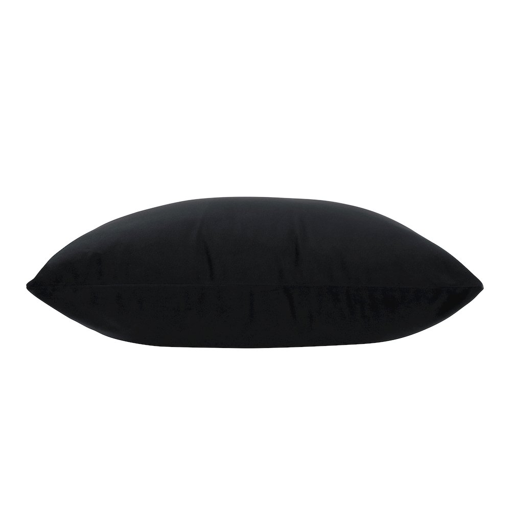 Dianthus 20X20 Indoor Pillow, Black. Picture 3