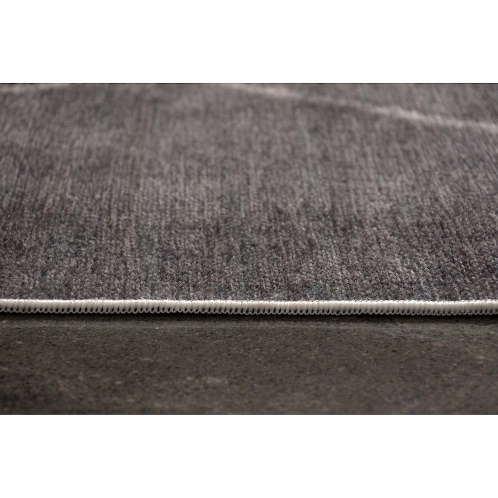 FALLON GREY/ IVORY 5 x 8 Indoor Rug. Picture 5