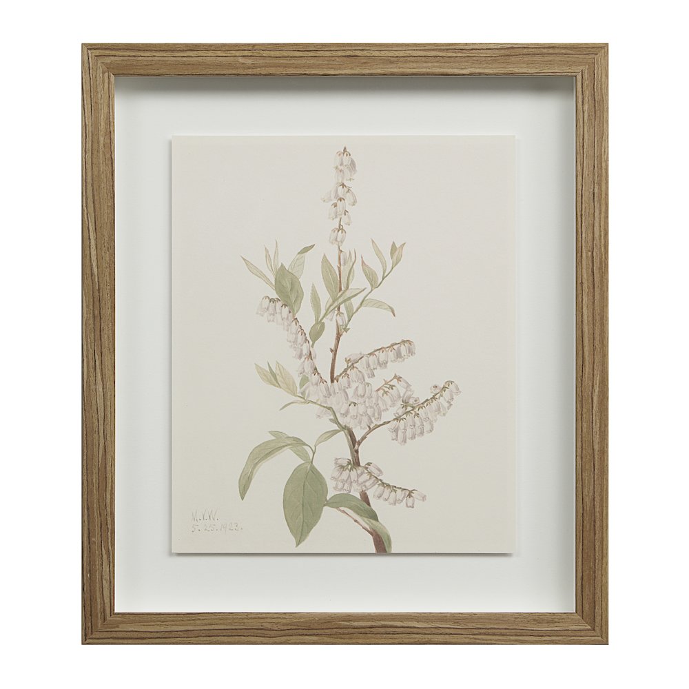Crema 13.25" Wide Wall Decor, Printed Artwork. Picture 7