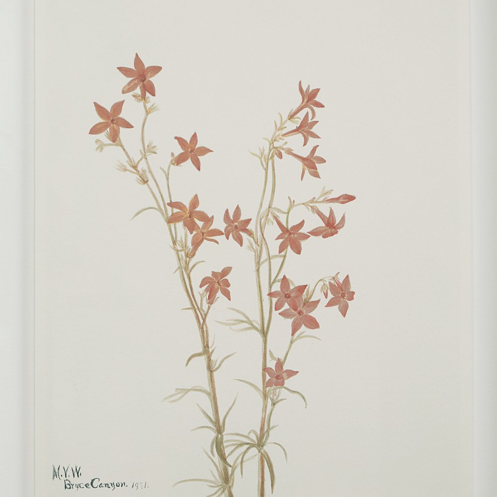 Crema 13.25" Wide Wall Decor, Printed Artwork. Picture 12