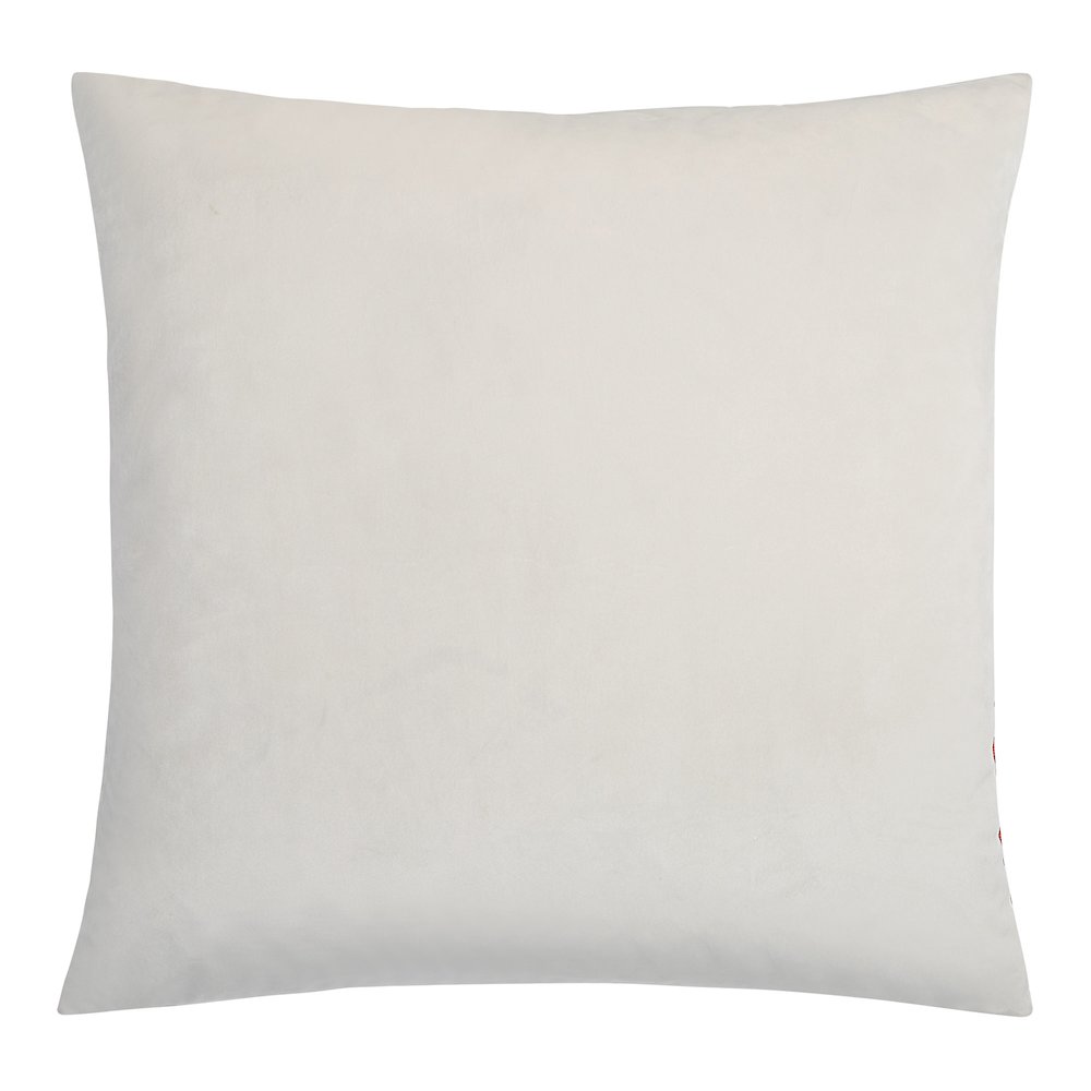 Lonzo 20 X 20 Indoor Pillow, Multi. Picture 5
