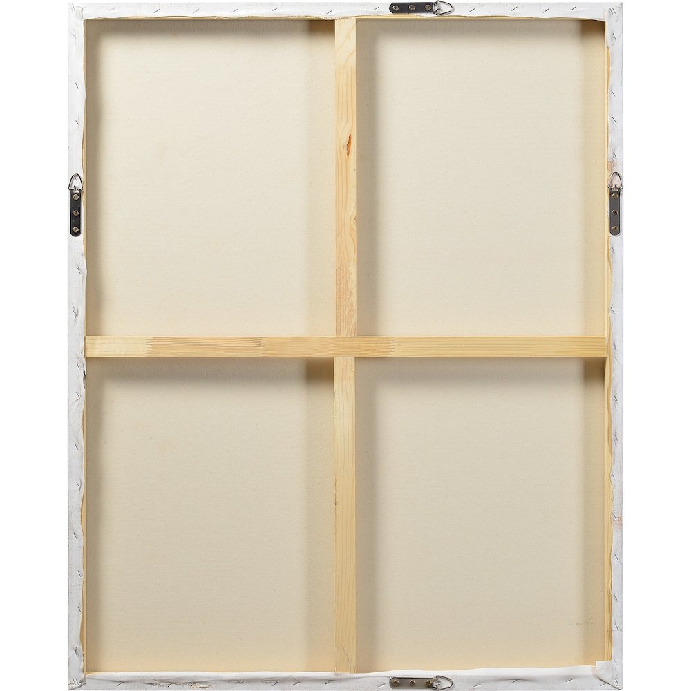 Skylab Rectangular Canvas Wall Art. Picture 4