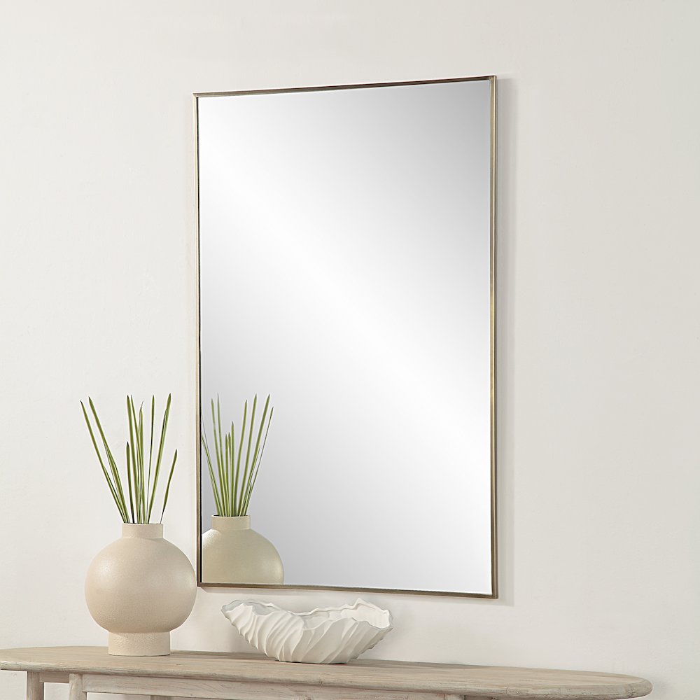 Cider 45" Tall Rectangular Mirror, Brushed Bronze. Picture 2