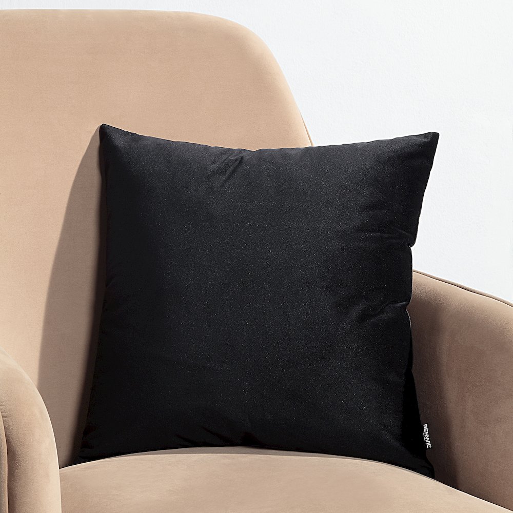 Dianthus 20X20 Indoor Pillow, Black. Picture 2