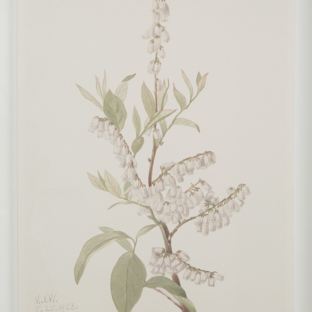 Crema 13.25" Wide Wall Decor, Printed Artwork. Picture 5