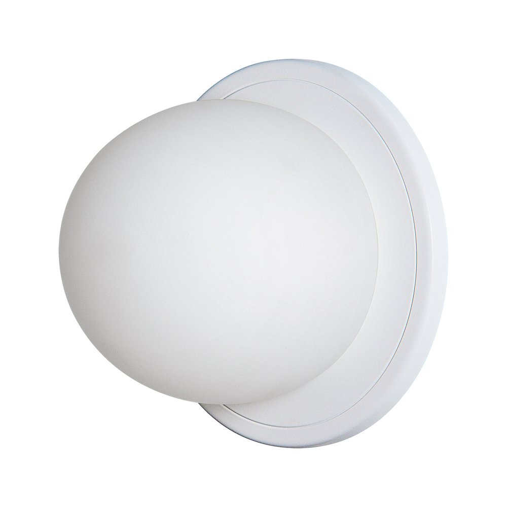 Raquel 1 Light Wall Sconces. Picture 1