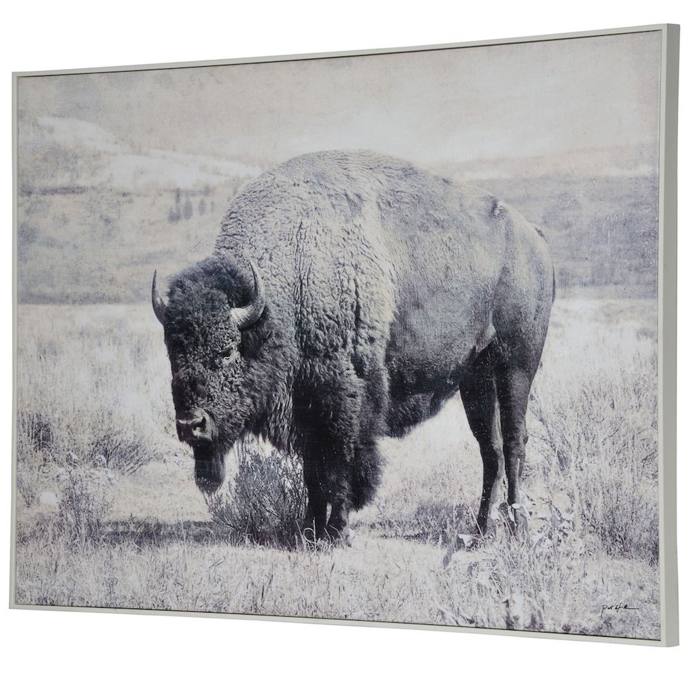North Range Canvas Wall Décor. Picture 2