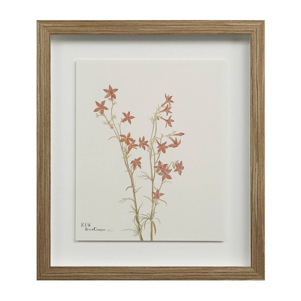 Crema 13.25" Wide Wall Decor, Printed Artwork. Picture 9