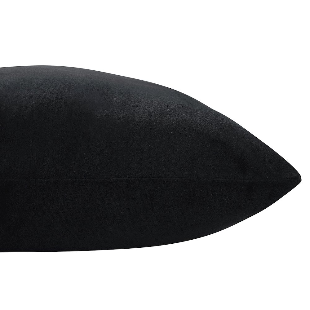 Dianthus 20X20 Indoor Pillow, Black. Picture 6