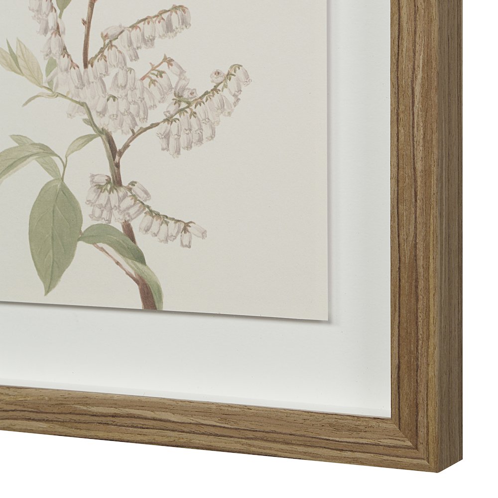 Crema 13.25" Wide Wall Decor, Printed Artwork. Picture 6