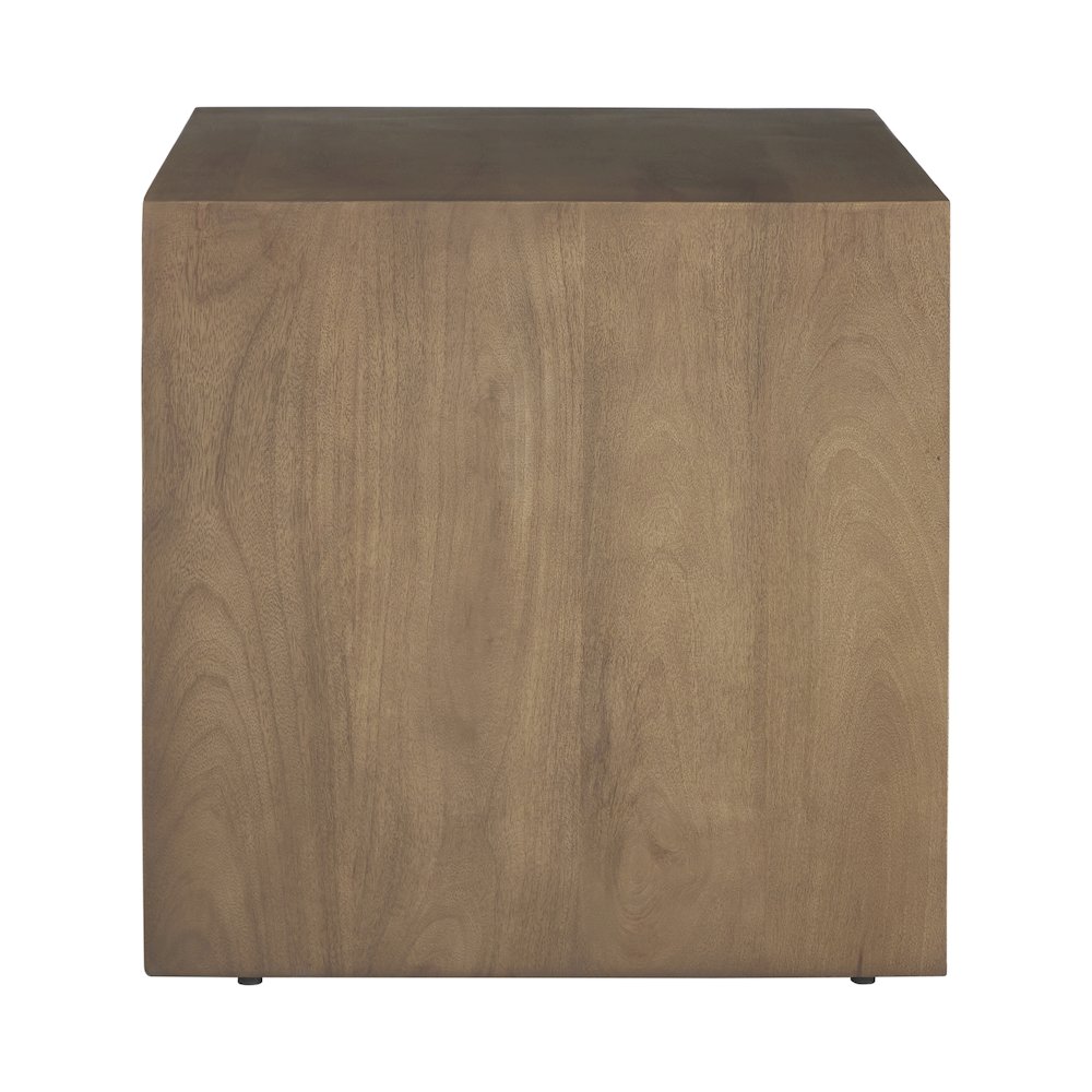 Jaime Indoor Mango Wood Side Table. Picture 5