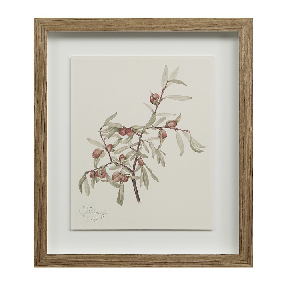 Crema 13.25" Wide Wall Decor, Printed Artwork. Picture 13