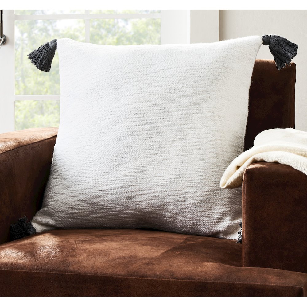 Julianne 22X22 Indoor Pillow, White. Picture 2