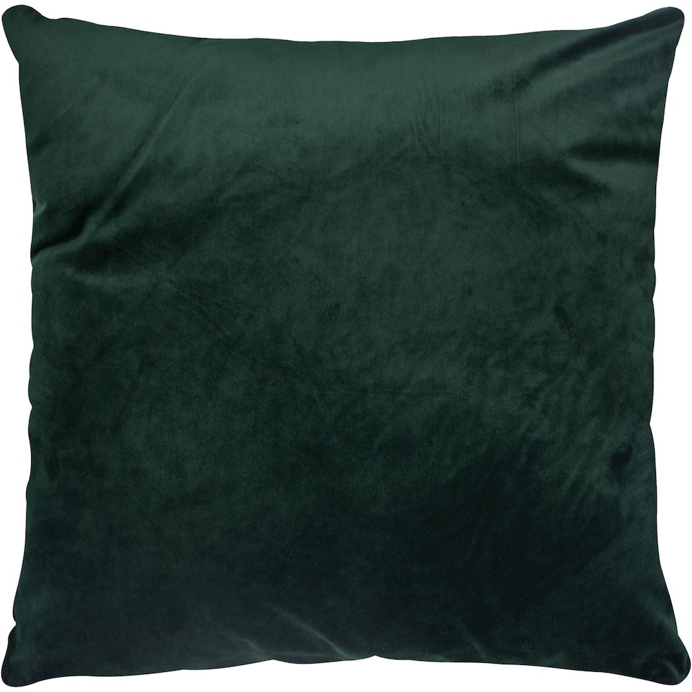 Olive 20 X 20 Indoor Pillow, Hunter Green. Picture 1