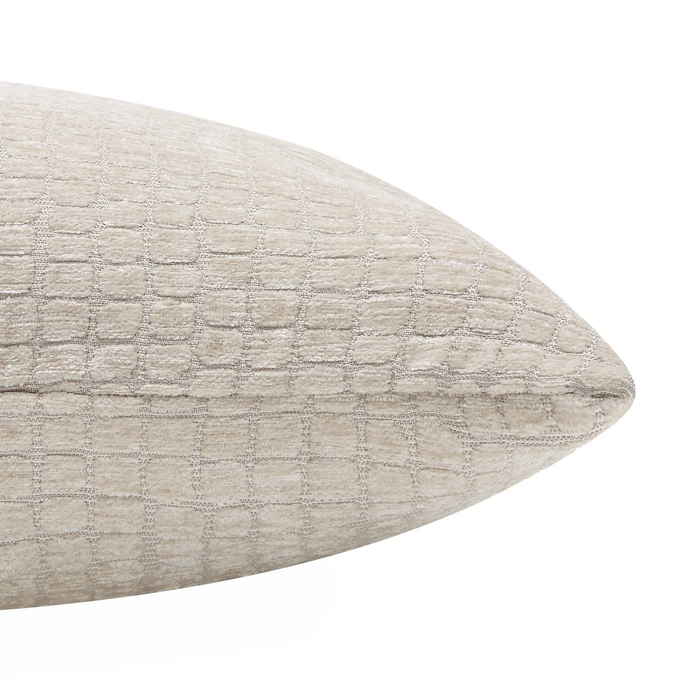 Lizzy 20X20 Indoor Pillow, Beige. Picture 5