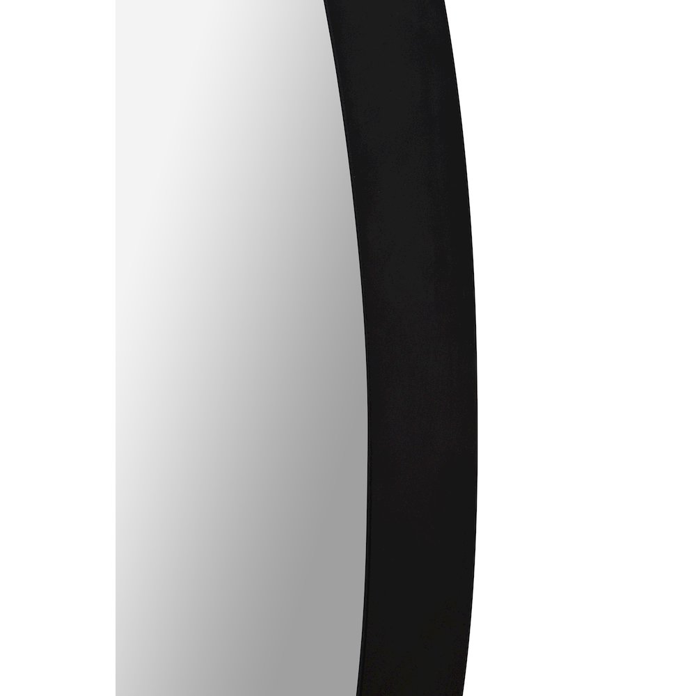 Parbuckle 22 in. x 42 in. Oval Mirror. Picture 6