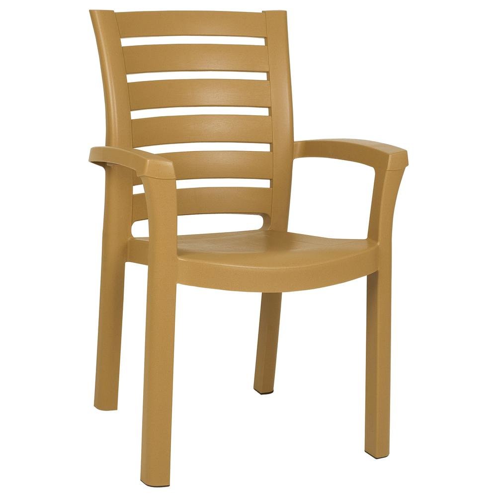 Marina Resin Dining Arm Chair, Set of 2, Teak Brown, Belen Kox. Picture 1