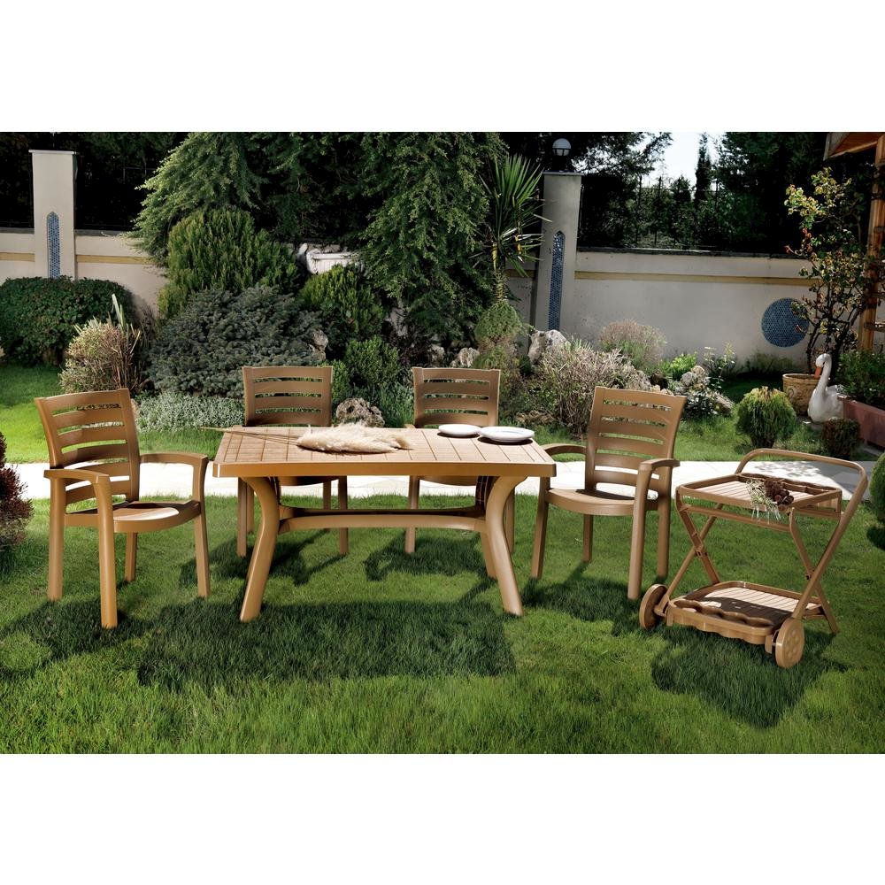 Marina Resin Dining Arm Chair, Set of 2, Teak Brown, Belen Kox. Picture 3
