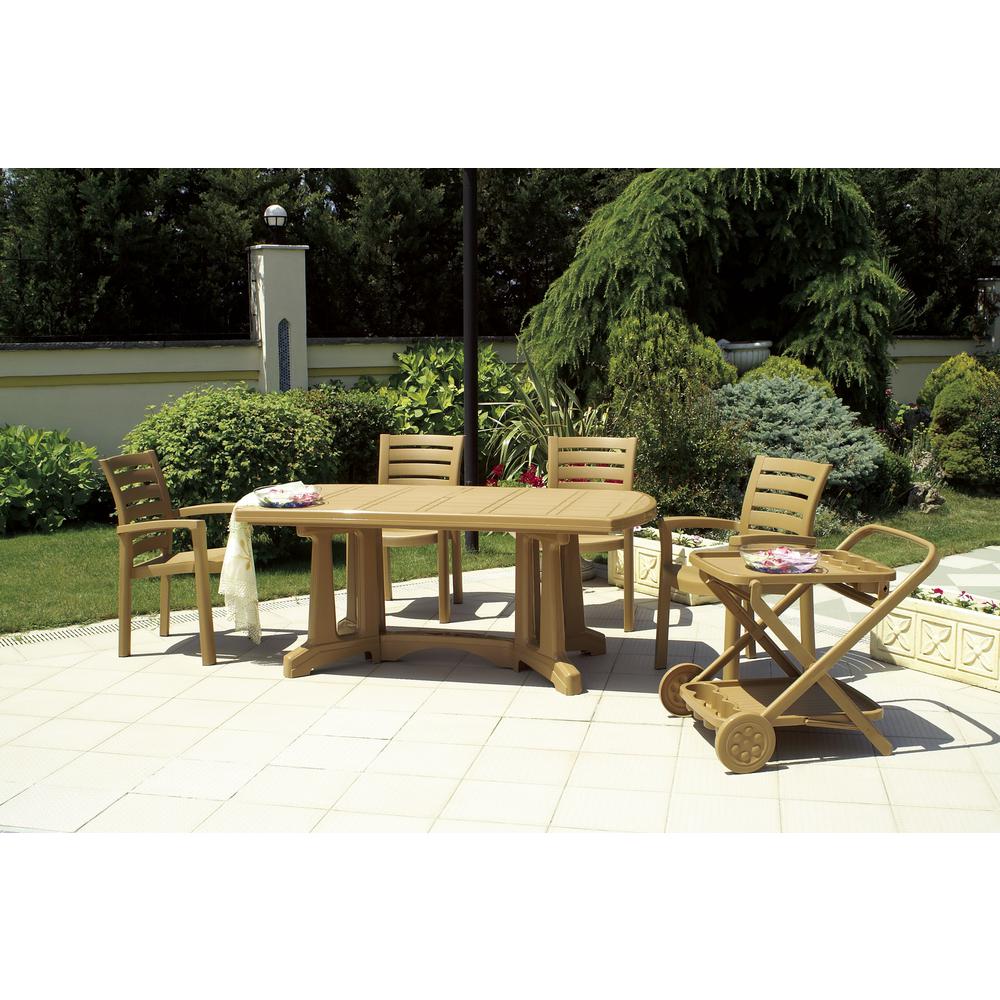 Marina Resin Dining Arm Chair Teak Brown, Set of 2. Picture 2