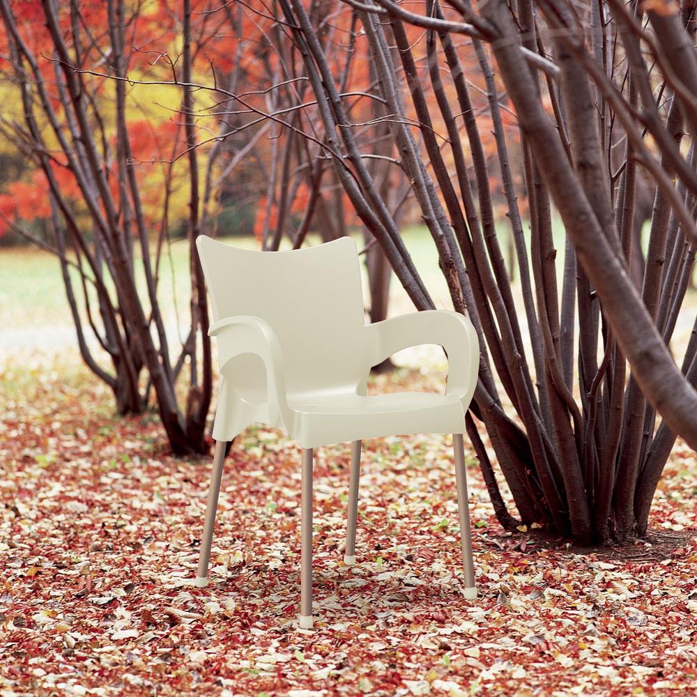 Romeo Resin Dining Arm Chair Beige, Set of 2. Picture 3