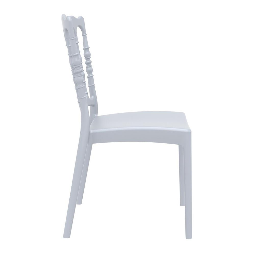 Napoleon Dining Chair Silver, Set of 2. Picture 4