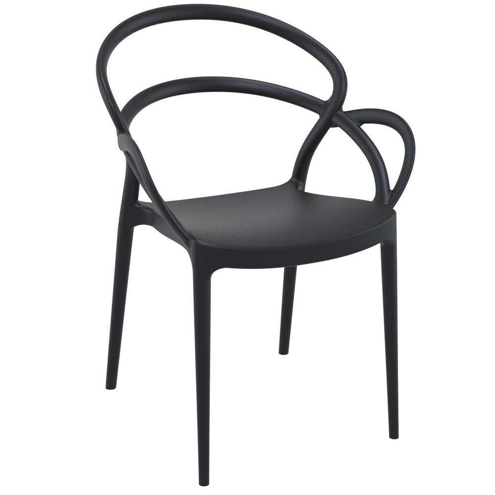 Mila Dining Arm Chair Black, Set of 2. Picture 1