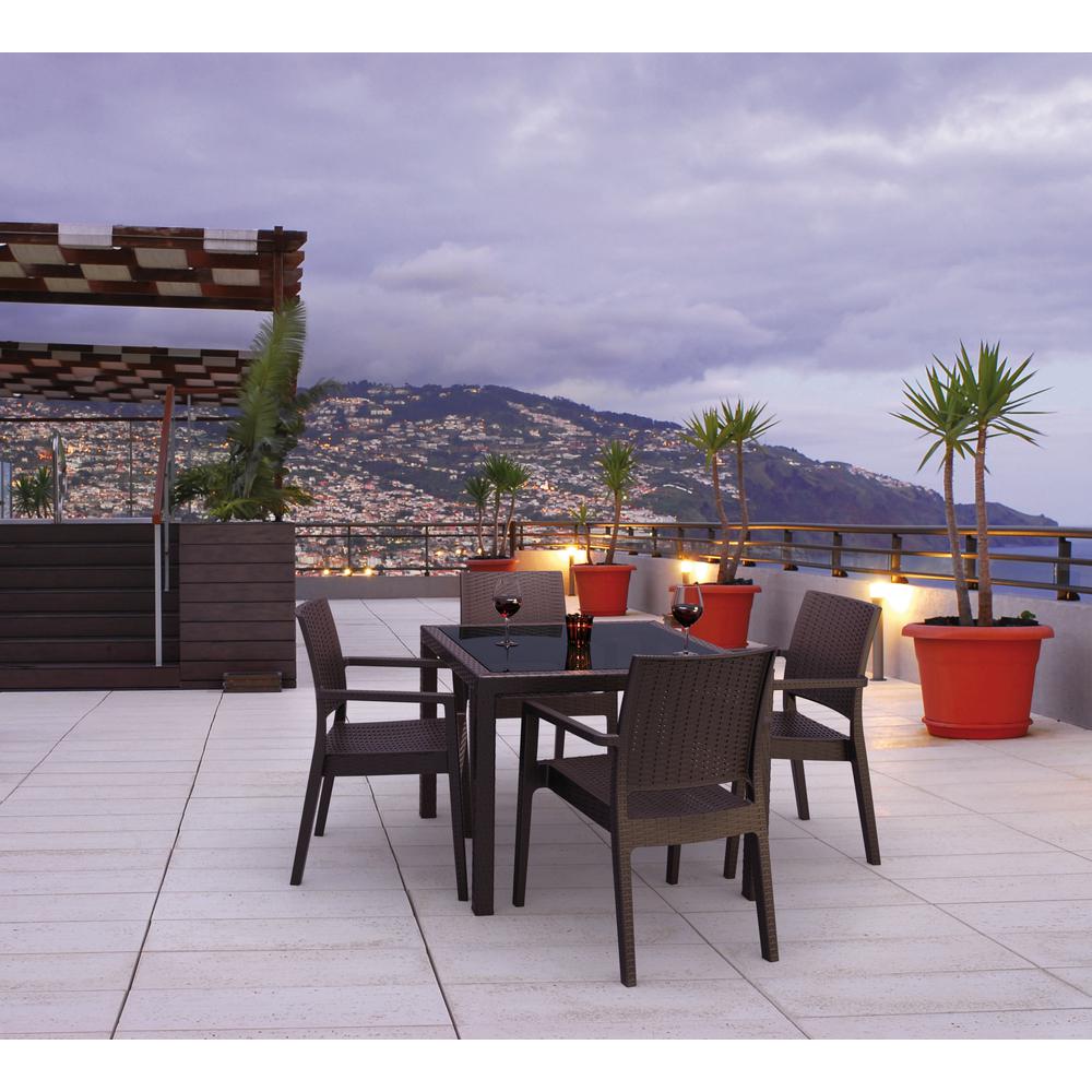 Ibiza Resin Wickerlook Dining Arm Chair Brown, Set of 2. Picture 2
