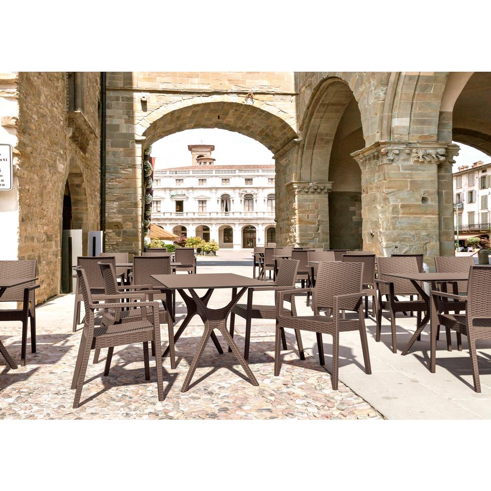 Ibiza Resin Wickerlook Dining Arm Chair Brown, Set of 2. Picture 6
