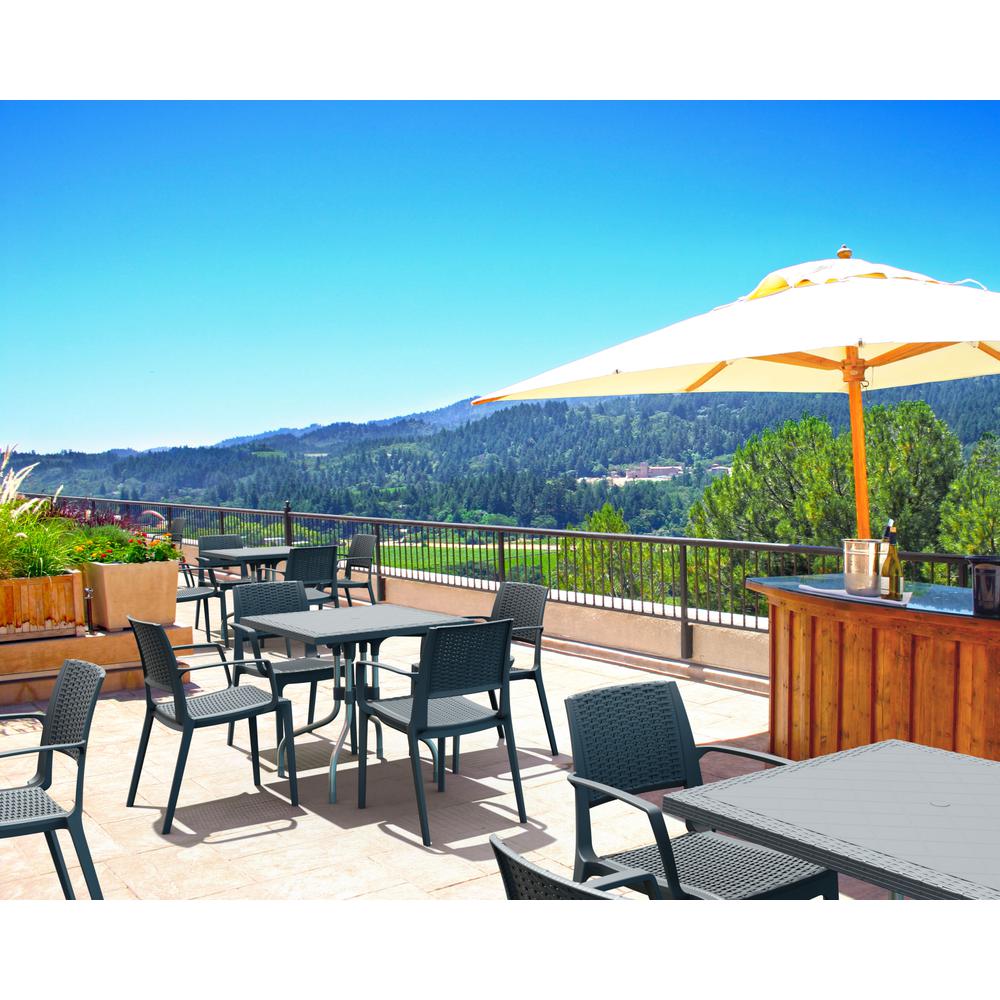 Capri Resin Dining Arm Chair Dark Gray, Set of 2. Picture 2