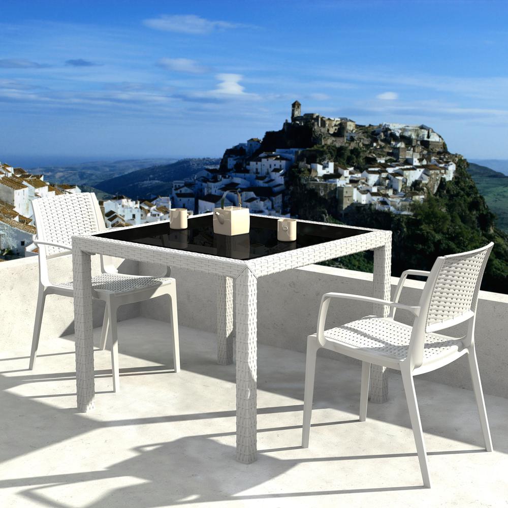Capri Resin Dining Arm Chair White, Set of 2. Picture 6