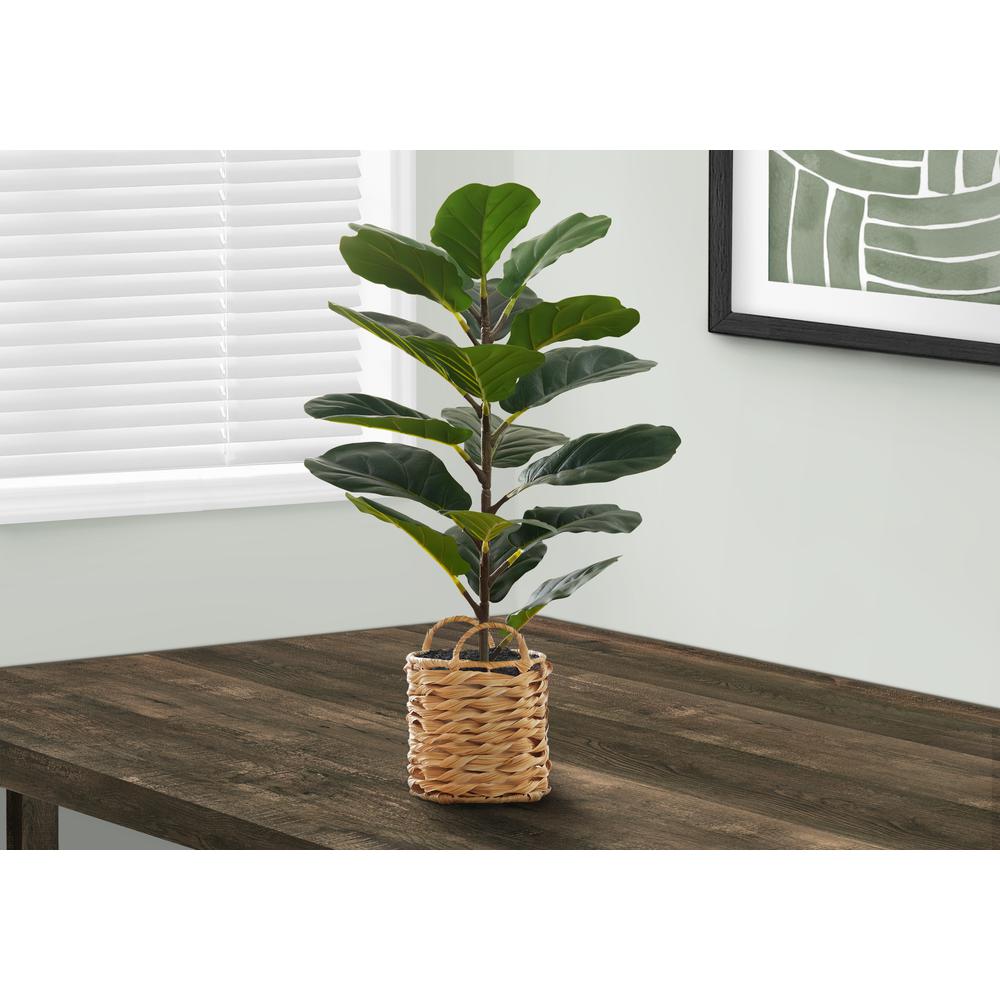 Artificial Plant, 28 Tall, Fiddle Tree, Indoor, Faux, Fake, Floor, Greenery. Picture 5