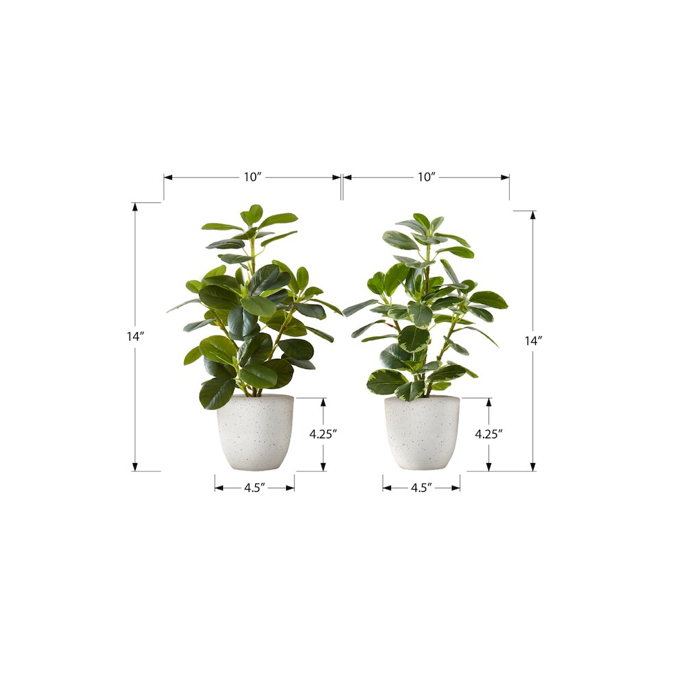 Artificial Plant, 14" Tall, Ficus, Indoor, Faux, Table, Greenery, Set Of 2. Picture 3