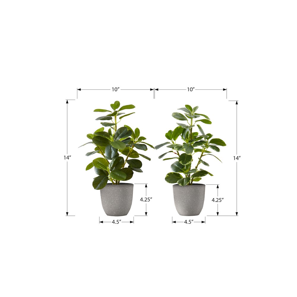 Artificial Plant, 14" Tall, Ficus, Indoor, Faux, Table, Greenery, Set Of 2. Picture 3
