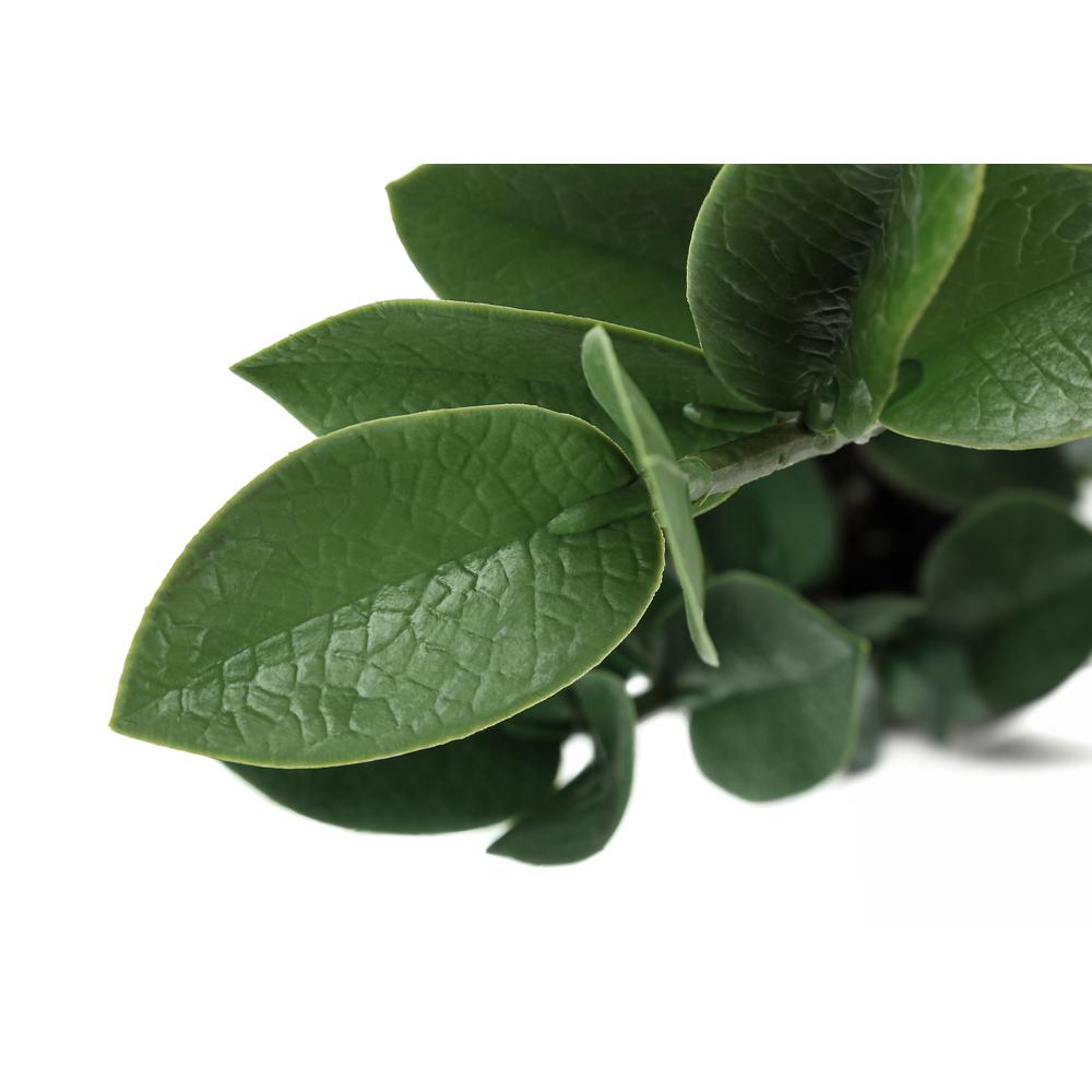 Artificial Plant, 20 Tall, Zz, Indoor, Faux, Fake, Table, Greenery, Potted. Picture 3