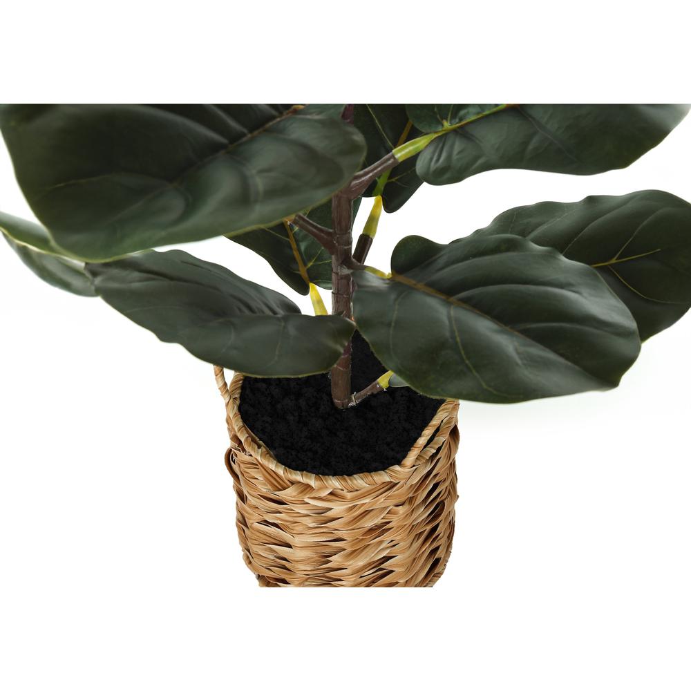 Artificial Plant, 28 Tall, Fiddle Tree, Indoor, Faux, Fake, Floor, Greenery. Picture 2